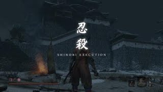 [問題] 隻狼 嗟怨之鬼