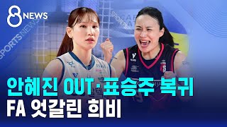 안혜진 OUT·표승주 복귀..FA 엇갈린 희비 / SBS 8뉴스