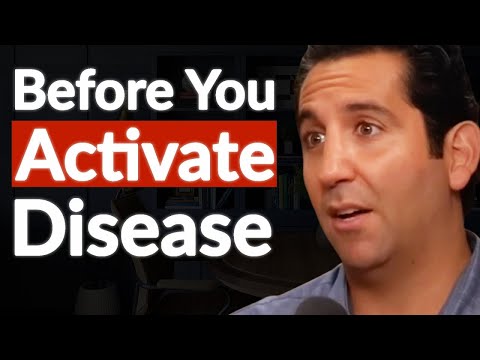 _Big Triggers Of Autoimmune Disease & Inflammation!_ - Best Way To Reverse It ASAP _ Elroy Vojdani
