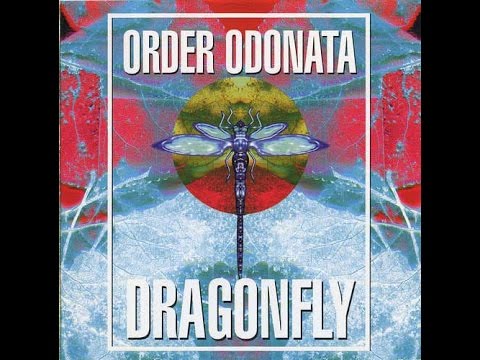 Dragonfly - Order Odonata 3 (Full Compilation)