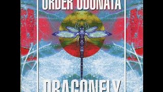 Dragonfly - Order Odonata 3 (Full Compilation)