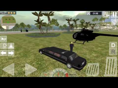 Royal Helicopter & Limo SIM Video