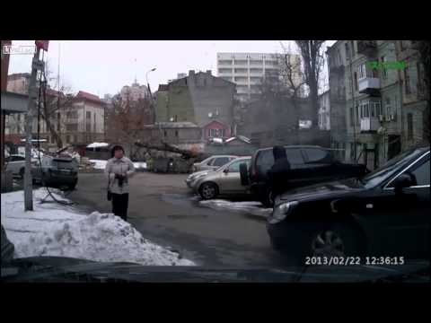 Jej tarcza ignorancji ją uratowała