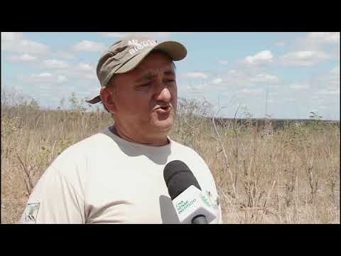 Projeto Biomas na Caatinga apresenta alternativas de produção sustentável
