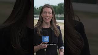 Lincoln Memorial Reflecting Pool to be drained again after algae appears and paint peels | ABC NEWS
