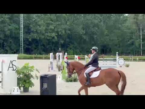 showvideo