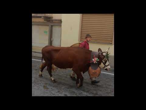 FIERA di SAN LUCA a DEMONTE (CN)