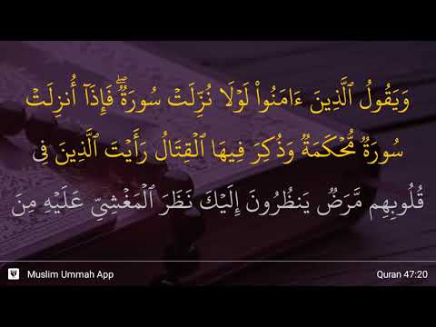 Muhammad ayat 20