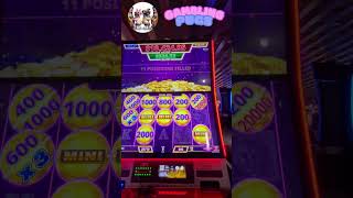 Bonus on CATs Split N Win Slot Machine! Huge Win & Furry Fun! | Gambling Pugs