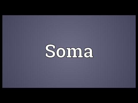 Soma Meaning