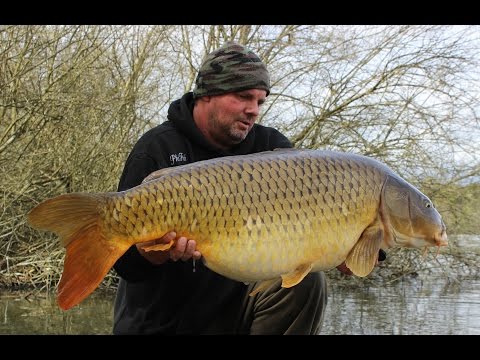 Venue videos photo 2