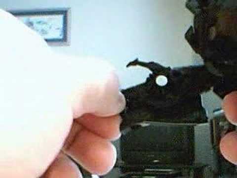 Video Review of Barricade, Transformers deluxe class 2 of 3