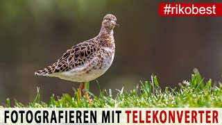 Fotografieren mit Telekonverter - was du über einen Telekonverter wissen solltest - Fotografie Tipps