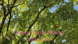 Cover art for Next Week Probably