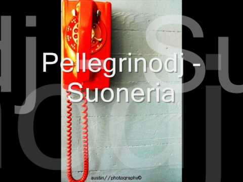 Pellegrinodj  - Suoneria (house)