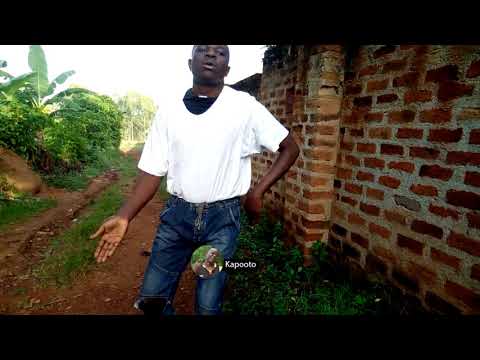 The Baninas - Love Story (Official Video)