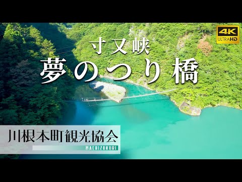 寸又峡　夏の夢のつり橋