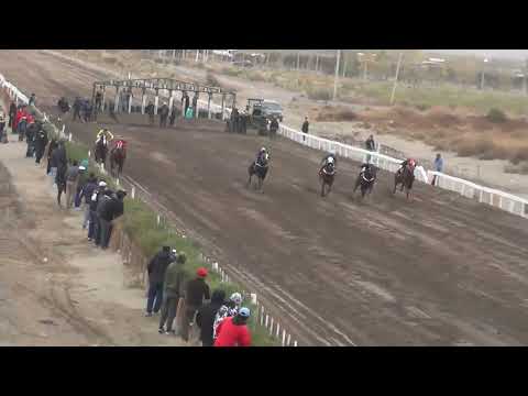 PISTOLERO  "Club Hipico Añelo" - Añelo - 21-05-2023
