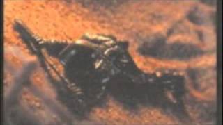 GRYP - Change My Name - Left Behind EP