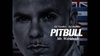 Pitbull - Sexy Bitch