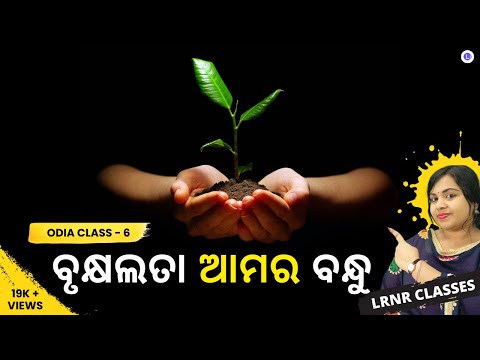 Brukhyalata Amara Bandhu Class 6 Odia Chapter 13 | ବୃକ୍ଷଲତା ଆମର ବନ୍ଧୁ