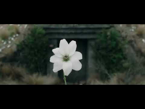 Il signore degli anelli,  le due torri 2002 ( un genitore non dovrebbe seppellire il figlio )