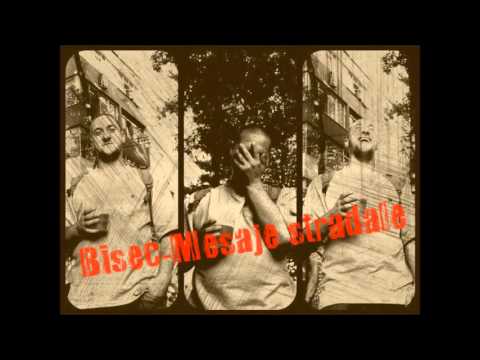 Bisec - Mesaje Stradale