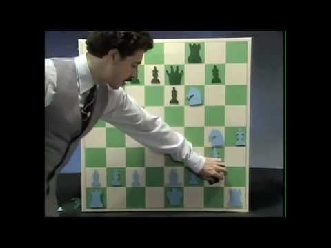 Yasser Seirawan - "..one of the most remarkable Queen sacs of all time."