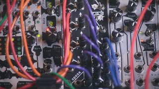 Video thumbnail for Blog: Quantus Pax in action by Noise Engineering