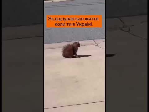 це і так ніхто не читає!