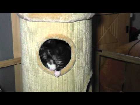 31 07 2012       die Kratztonne ist ihr Geld wert