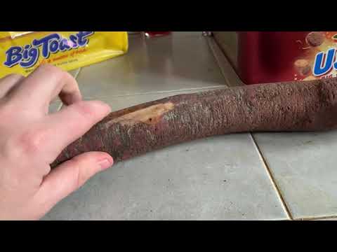 My thoughts before I finish a cudgel