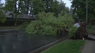 Strong storm topples trees, causes power outages throughout Fresno County