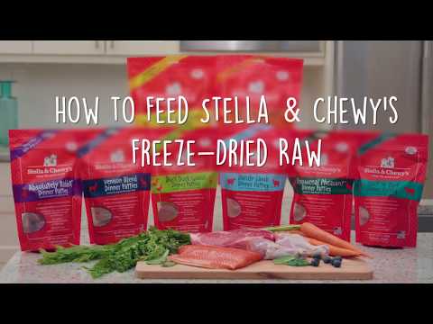 How to Feed Stella & Chewy's Freeze Dried Raw Patties Dog Food