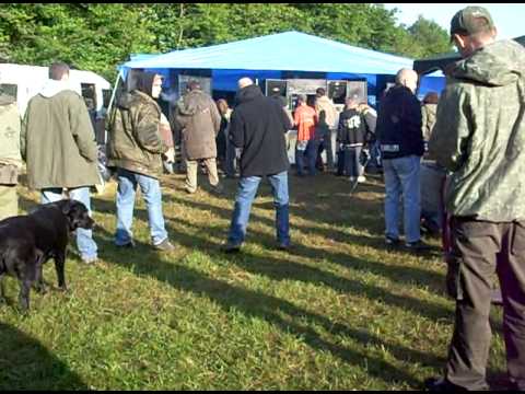 teuf Insociaux associés, Tromatiks et Sisme ( fête de la musique 2009 )