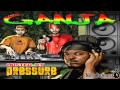 PRESSURE DUB BOX LOVE GANJA