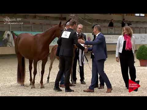 87 PEARL EDEN KA Gold Medal Winner Filly Foal Championship