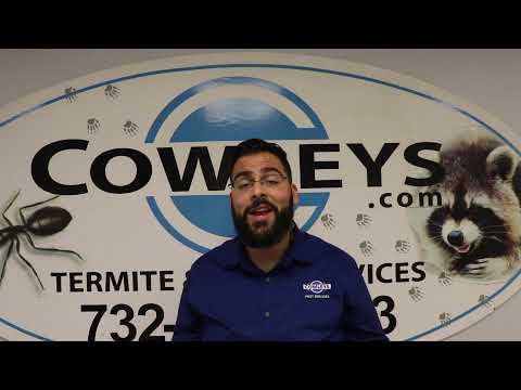 Tips to Protect Yourself from Pests During the Colder Months