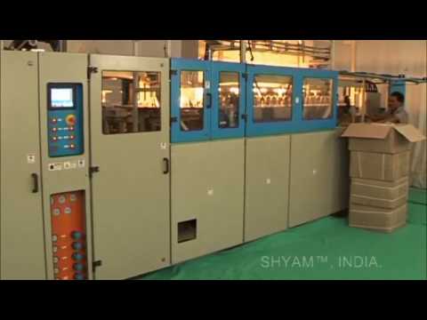Pet Blow Molding Machine