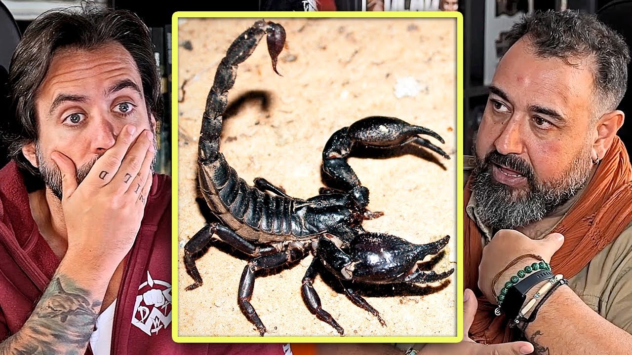 Arqueólogo narra las veces que ha estado a punto de MORIR durante sus aventuras