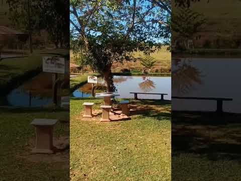 #PESQUEIRO DOURADO TARABAI SP #shorts