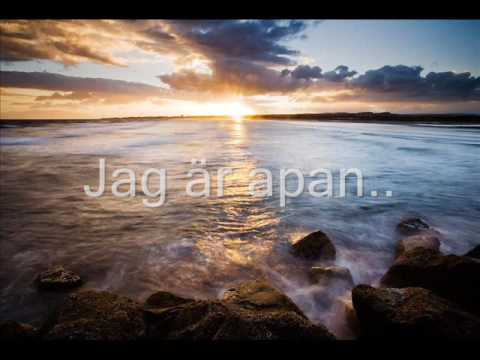 Olle Ljungström - En Apa Som Liknar Dig (With Lyrics)