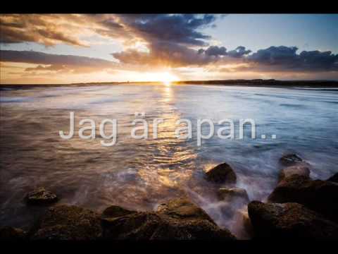 En Apa Som Liknar Dig video