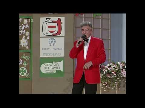 Včera jsem byl u muziky – Josef Zíma (1994)