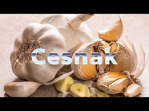 , title : 'Cesnak'