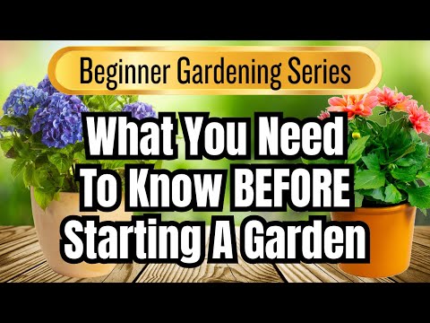 Sowing the Future: A Beginner's Guide to Starting a Garden