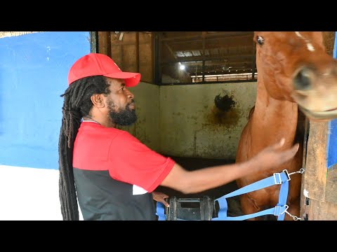 LIFETIME NARRATIVE: Trainer Robert Ffrench