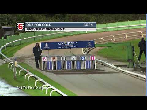2020 RPGTV PUPPY TROPHY - HEAT 3 - T6 ONE FOR GOLD