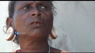 Wayanadan tribes are going back to tuber cultivation to combat climate change