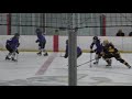 Niagara Jr Purple Eagles Hockey Tournament